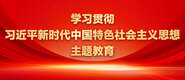 调教贱逼学习贯彻习近平新时代中国特色社会主义思想主题教育_fororder_ad-371X160(2)